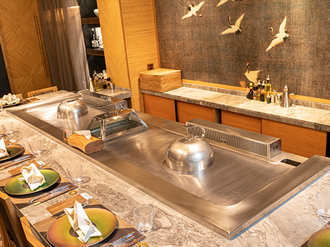 多功能铁板烧设备